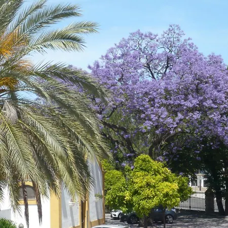 Real Escuela Apartment Jerez de la Frontera