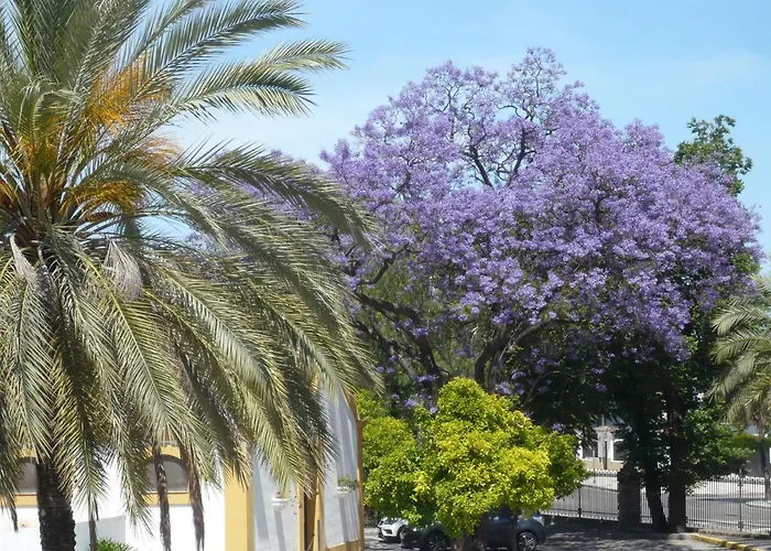 Real Escuela Lägenhet Jerez de la Frontera
